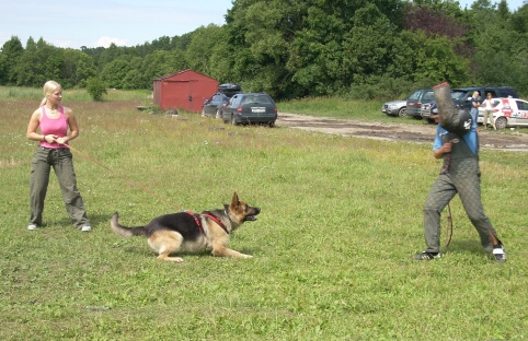 Training in Estonia 6/2007